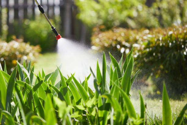 24/7 Emergency Wasp Removal experts in South Haven, MI